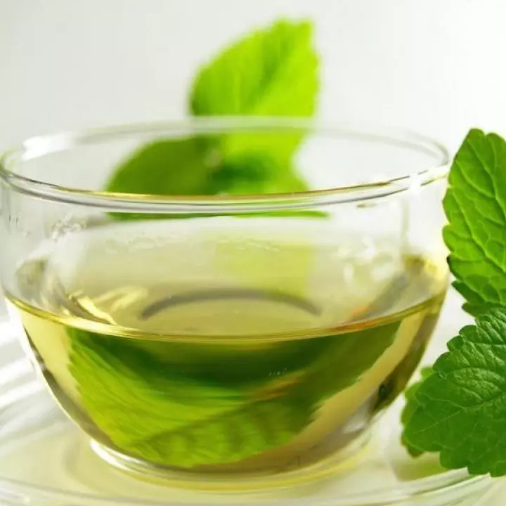 TE DE GOURMET DE MENTA