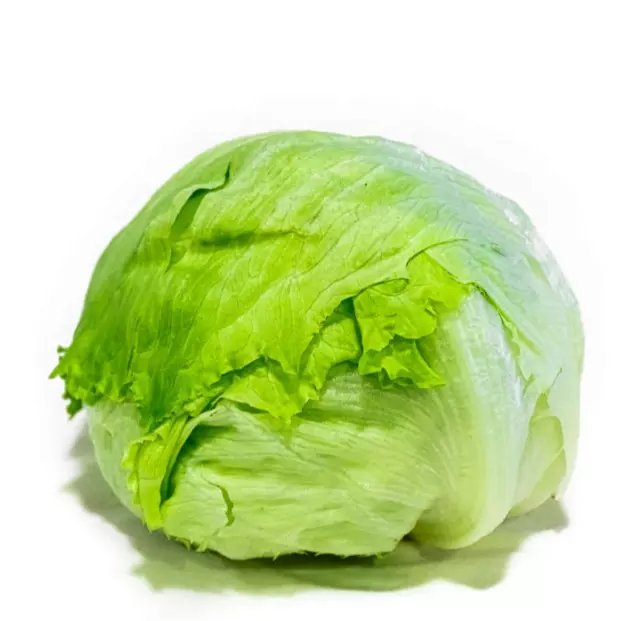 西生菜 Lechuga