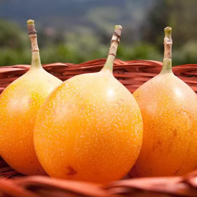Granadilla tradicional x libra