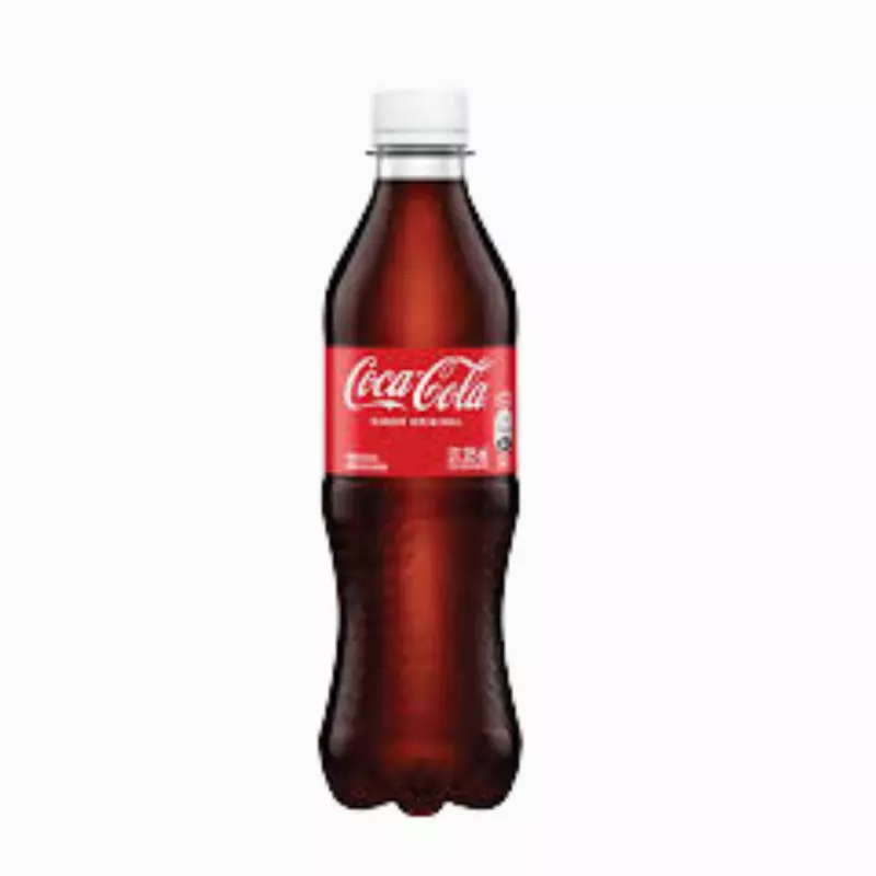 REFRESCO COCA COLA 355ML