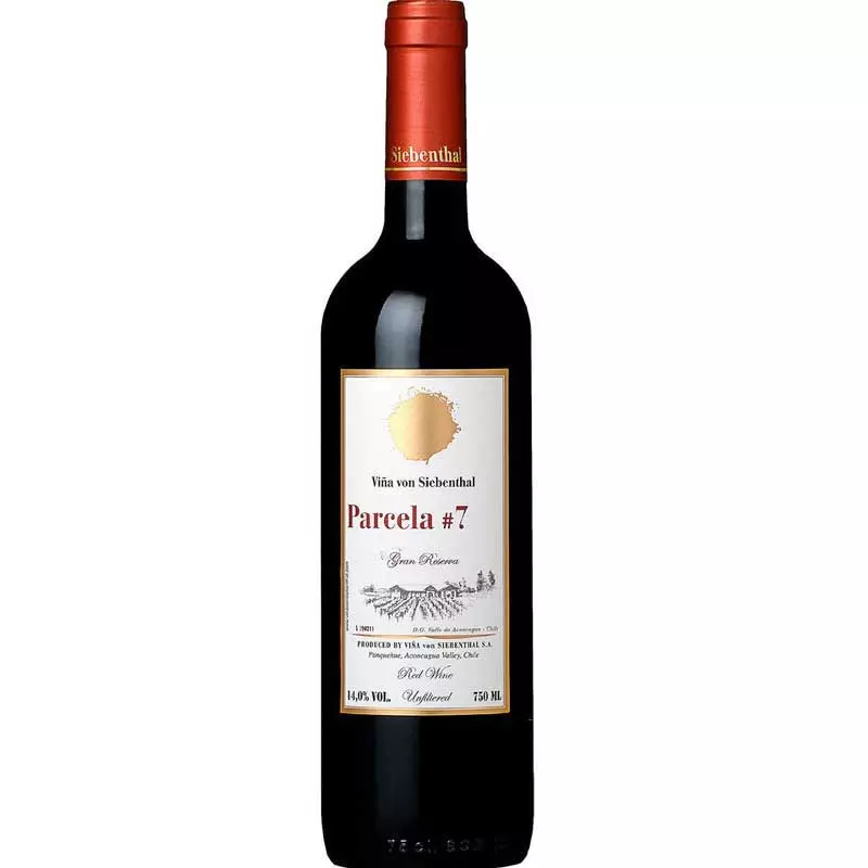 Parcela 7 Von Siebenthal Panquehue