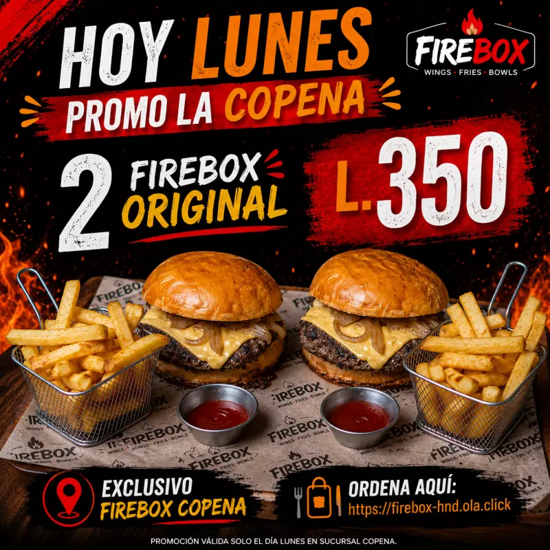 FireBox Original 2x350.00