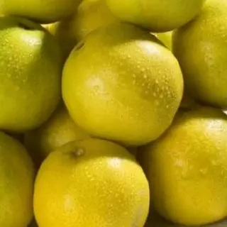 LIMON DULCE UNIDAD