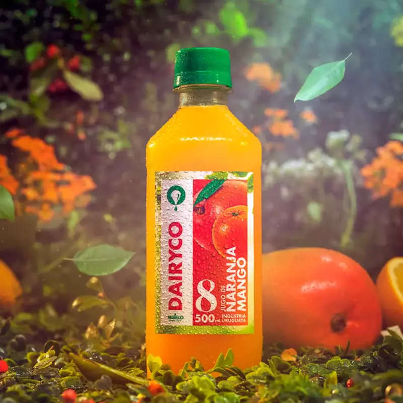 Dairyco Naranja Mango 500ml