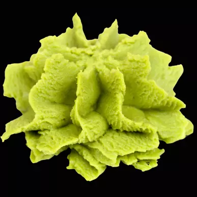 Wasabi ou Raiz Forte - 10g