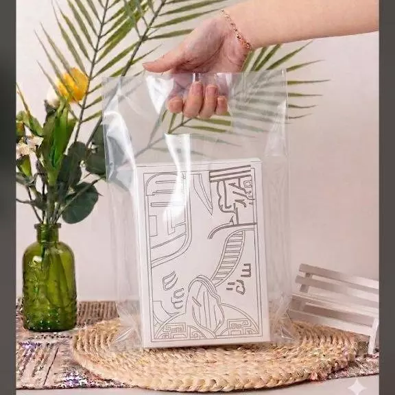 BOLSA BOUTIQUE (TRANSPARENTE)