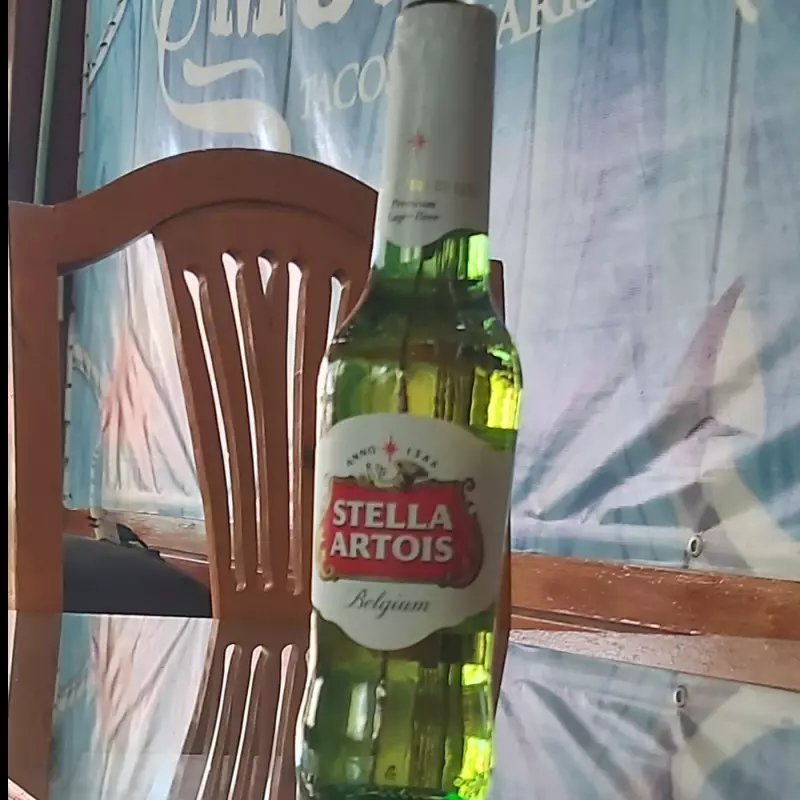 STELLA ARTOIS
