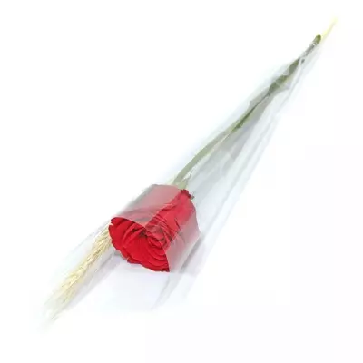 rosa simples