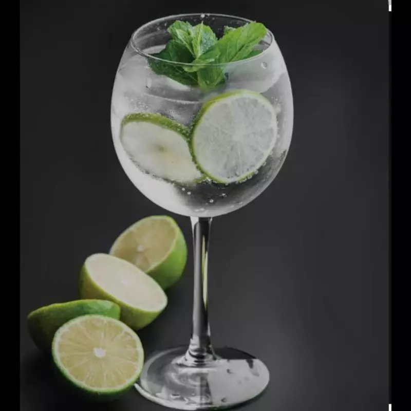 GIN TONIC