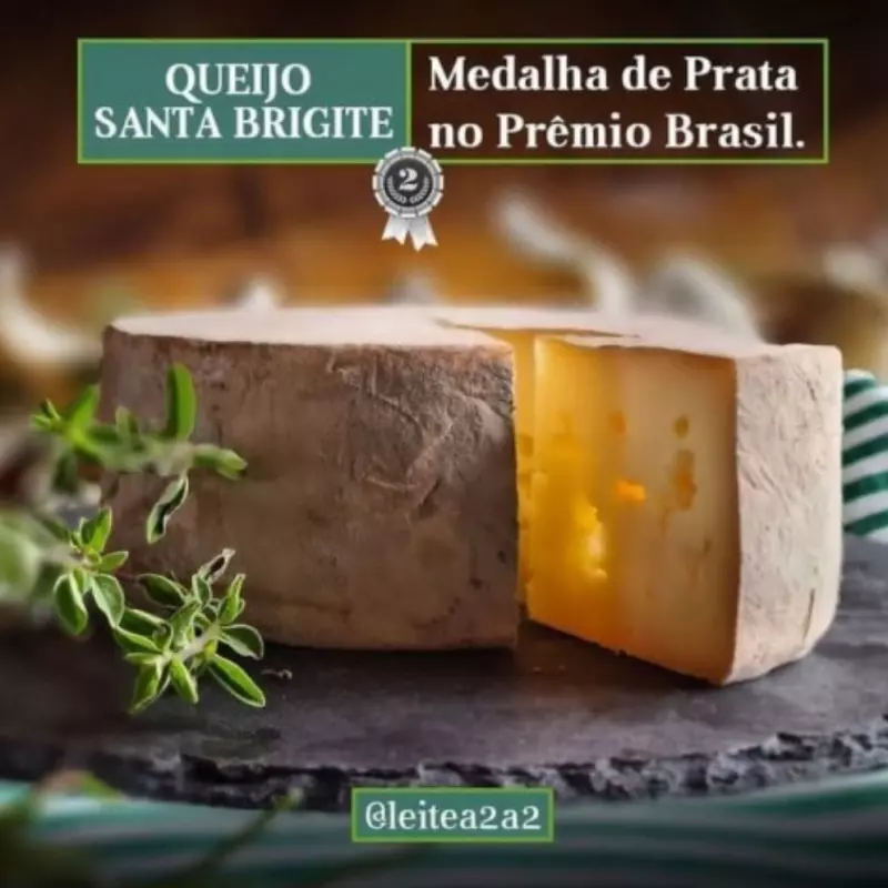 Santa Brigite