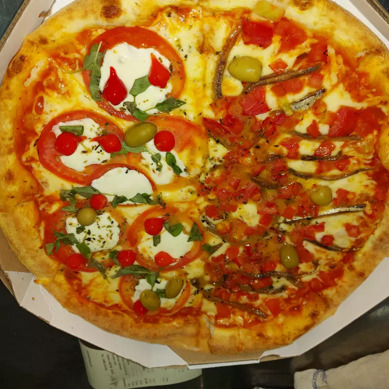 FRANGO COM CATUPIRY. (P)