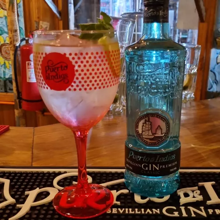 GIN TONIC PUERTO DE INDIAS