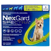 Nexgard SPECTRA de 7,6 a 15 kg