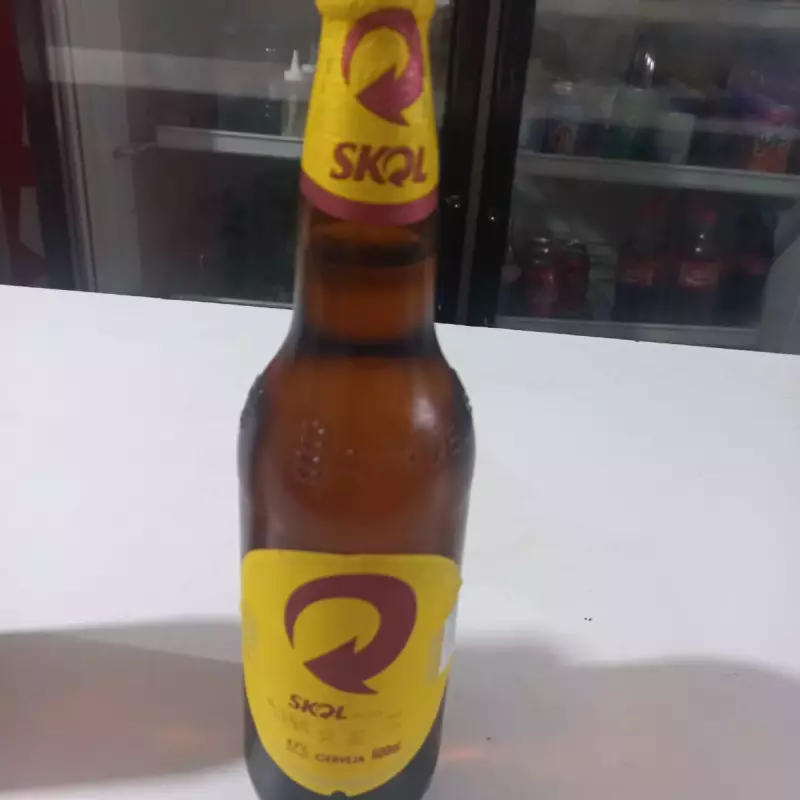 CERVEJA SKOL 600 ML