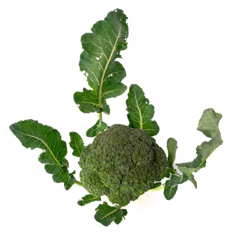 Brócoli x unidad
