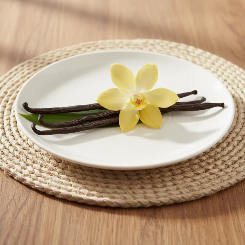 ELIGE TU PAQUETE IDEAL DE Vainilla