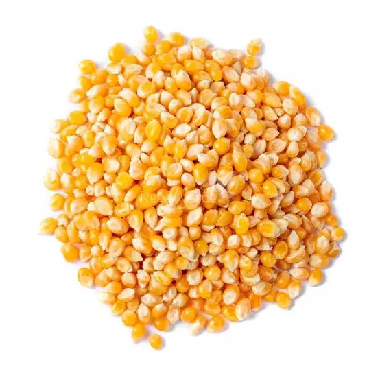 Milho de Pipoca - 100g