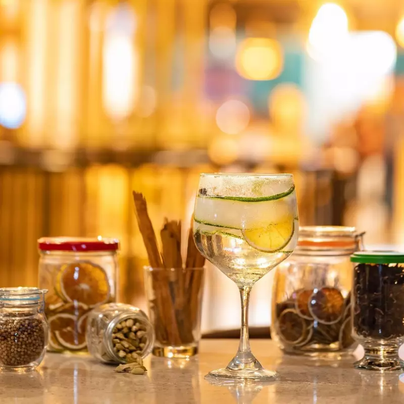 Arma tu Gin Tonic