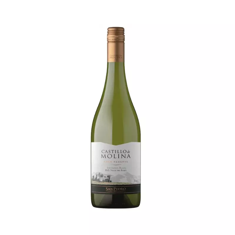 Vino Castillo de Molina Sauvignon Bl