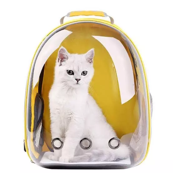Mochila Burbuja Clásica