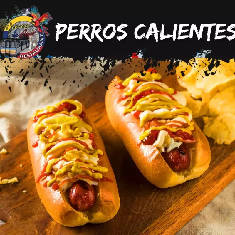 Perros Callejeros