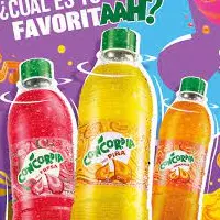 CONCORDIA 355ML