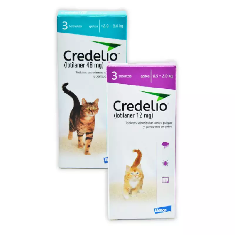 Credelio Cat