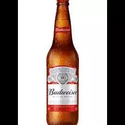Budweiser 600ml