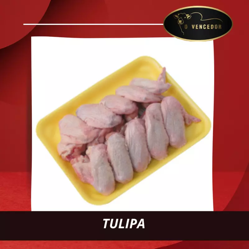 TULIPA - kg