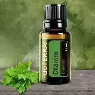 Cilantro Óleo Essencial (Coentro)