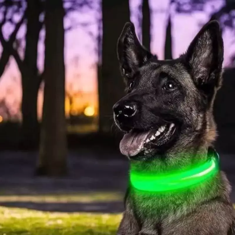Collar Grande con luz LED