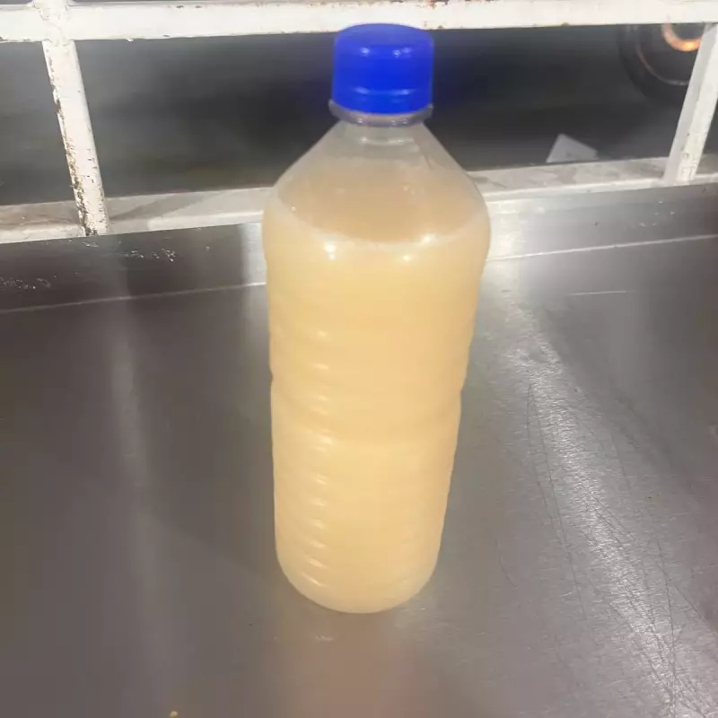 agua natural de guayaba 1 litro