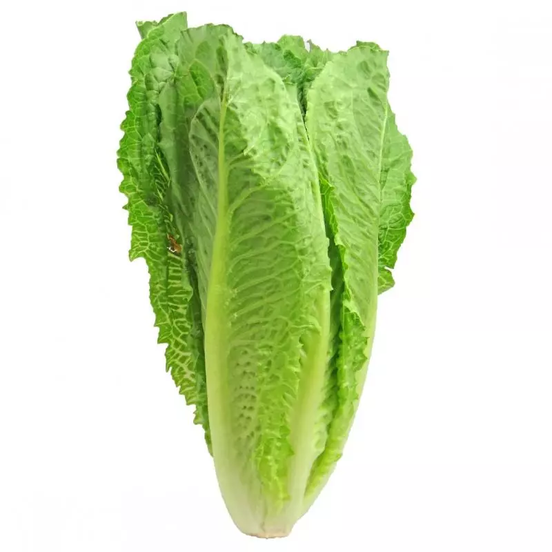 Lechuga Romana x500gr