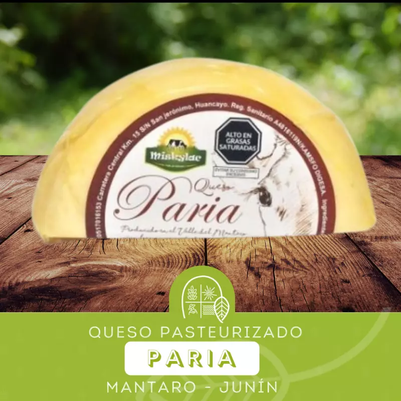 QUESO PARIA - JUNÍN