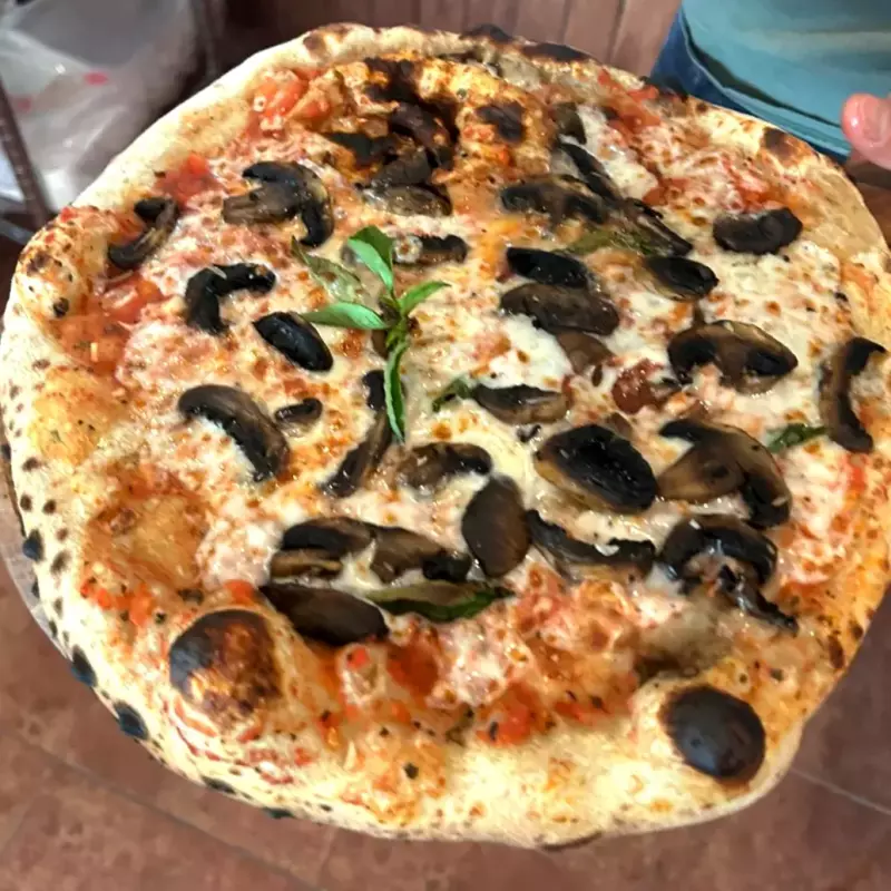 Pizza funghi