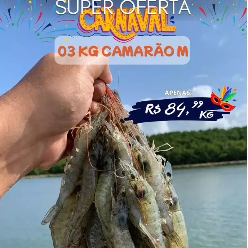 COMBO CARNAVAL