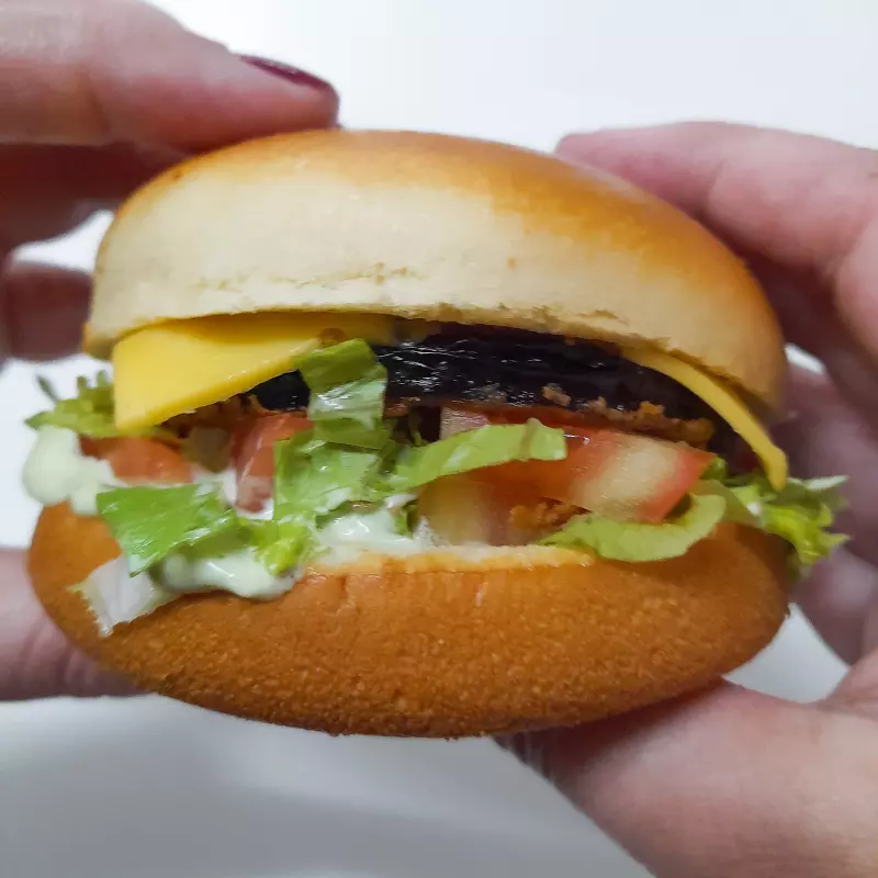 Burguer Berinjela Empanada