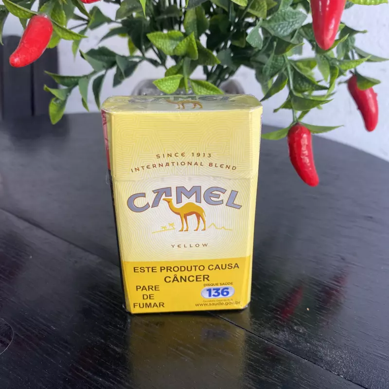 Camel Amarelo Box