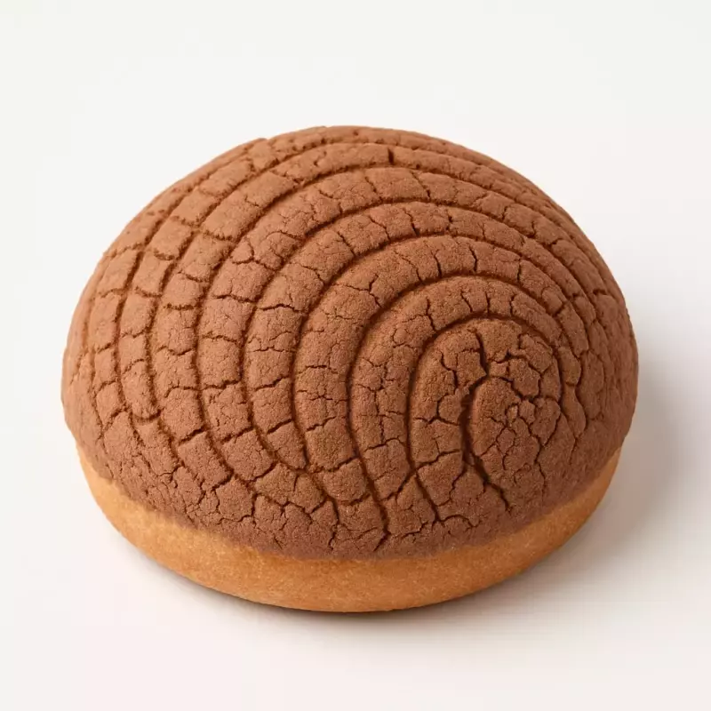 Concha de Chocolate Pan Dulce