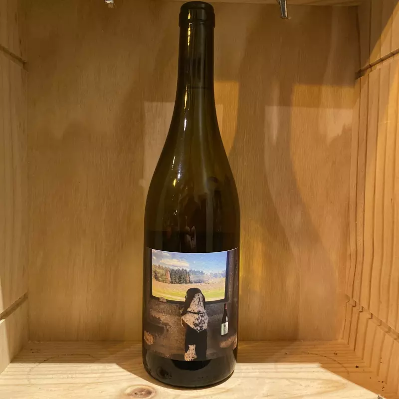 Quinta de Saes Tobias