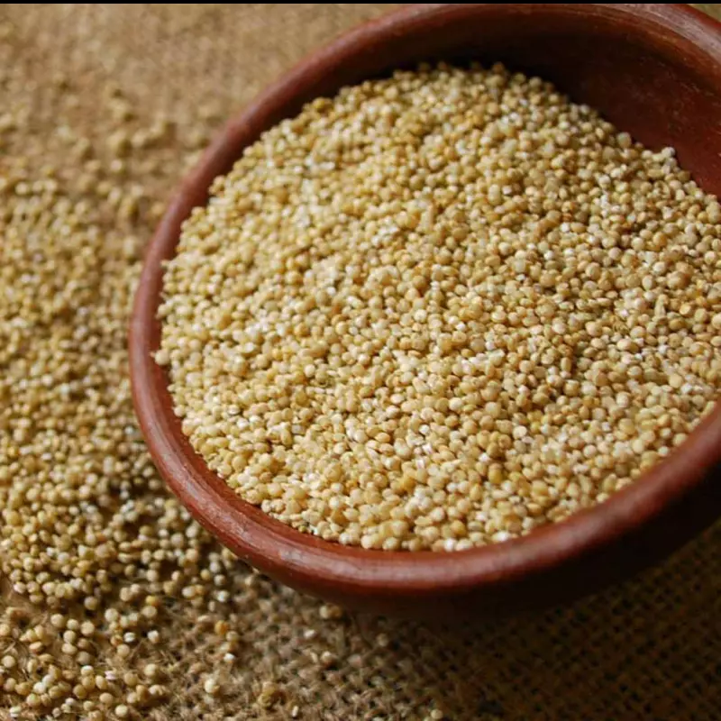 Quinoa em Grãos