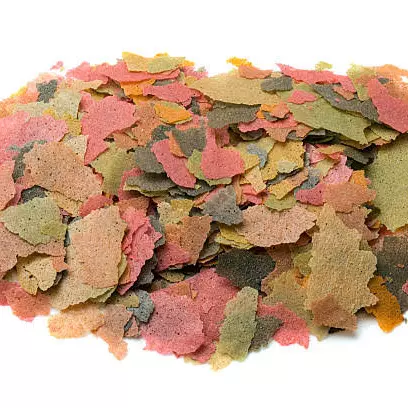 Alimento para Peces 10 GR