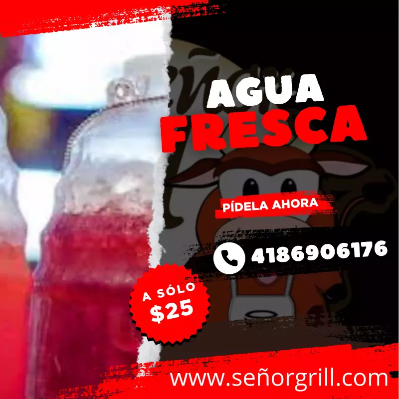 Agua fresca del día
