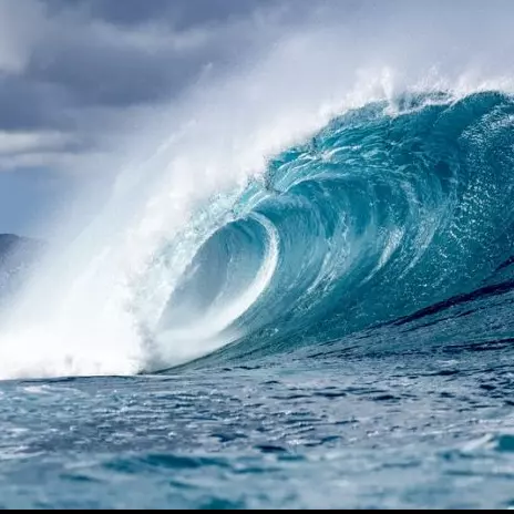 Prato do Surf