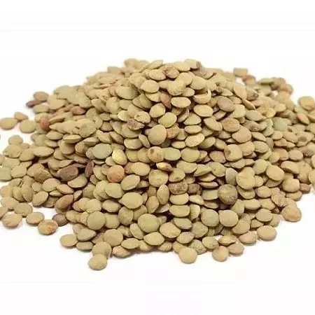 Lentilha Canadense - 100g