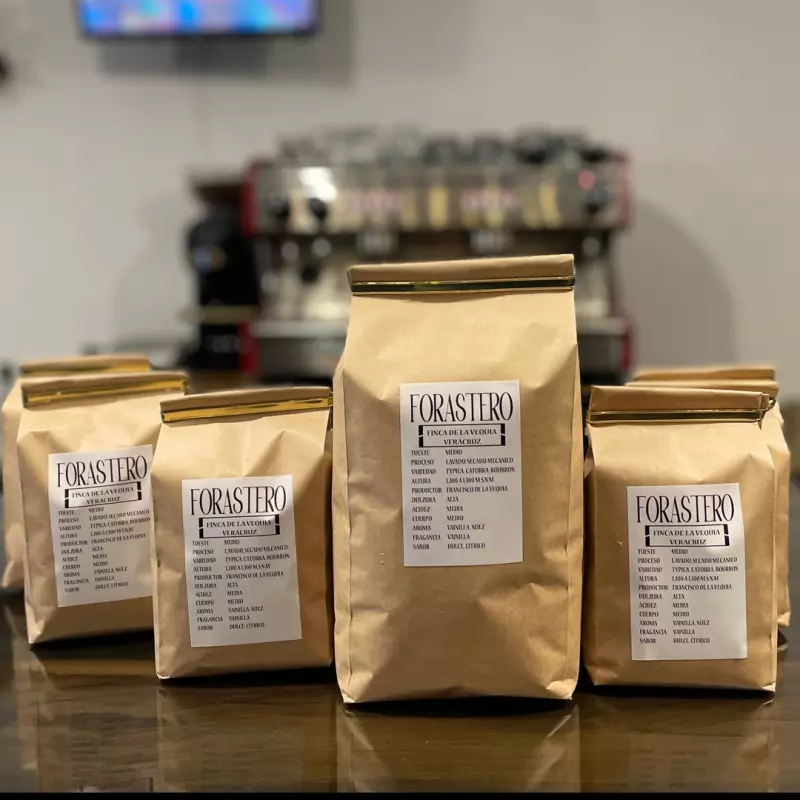 CAFÉ FORASTERO