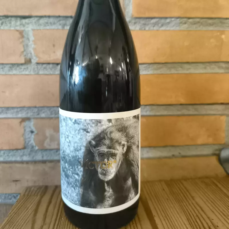 Mono Mario,  Empordà