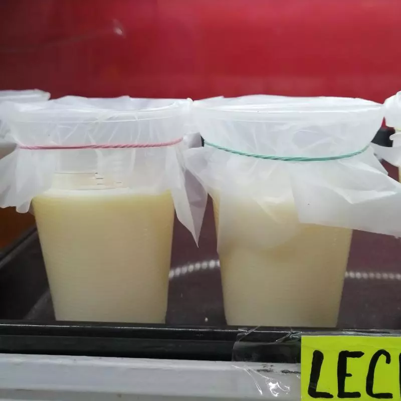 Lechera agranel