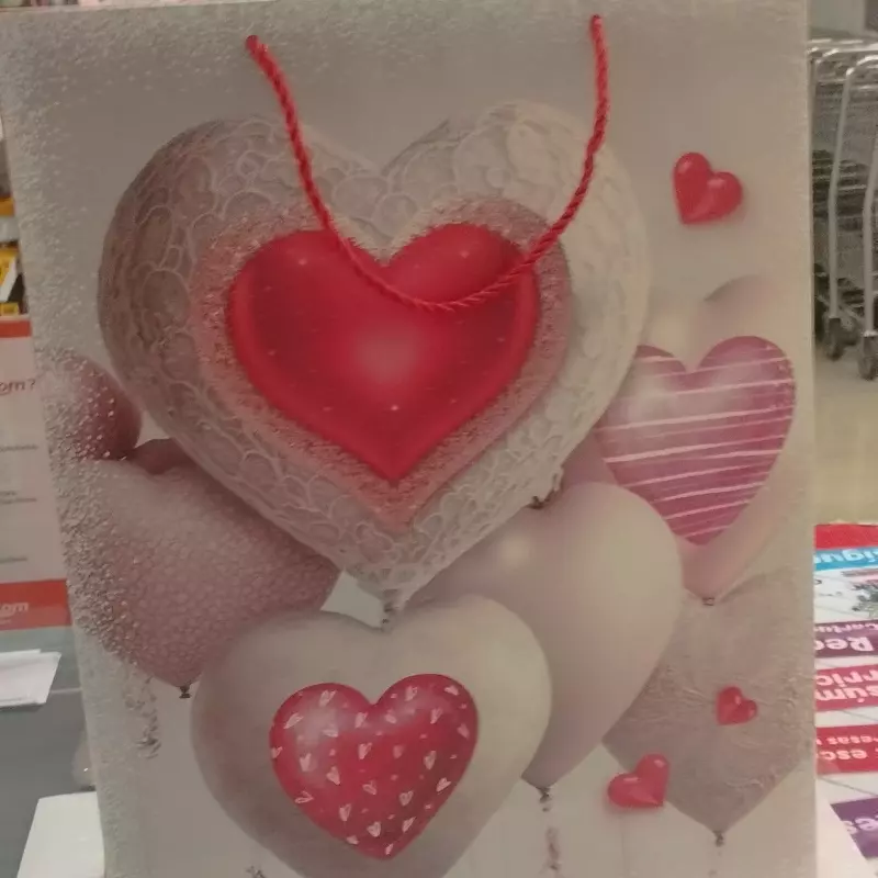 Bolsa de regalo extra Grande