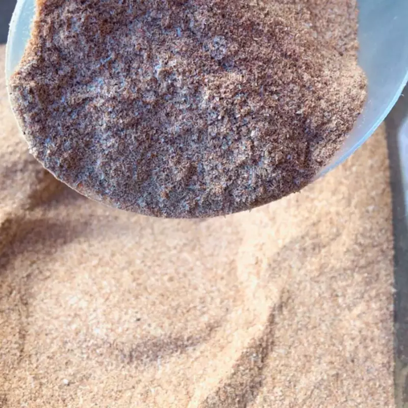Psyllium
